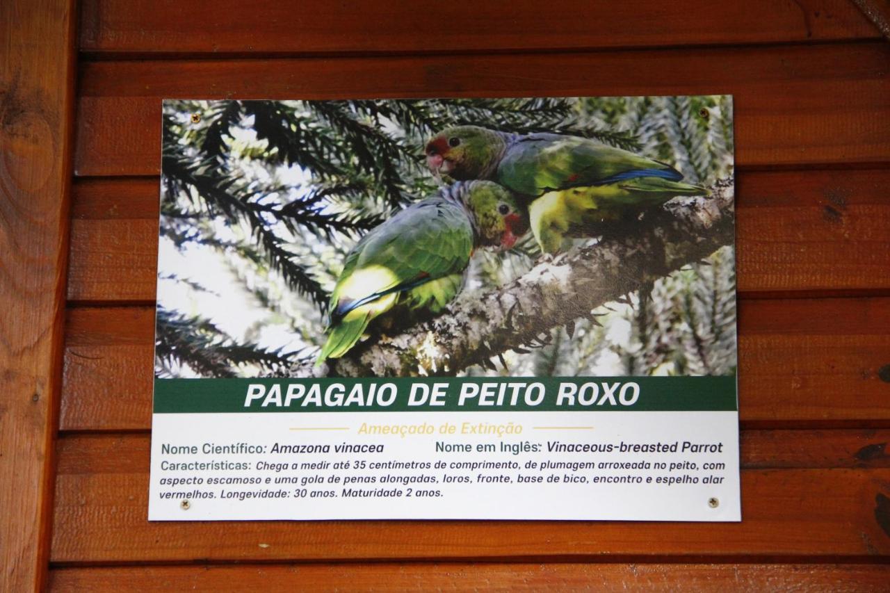 Recanto Da Mata Pousada เซาฟรานซิสโก จิ เปาลา ภายนอก รูปภาพ