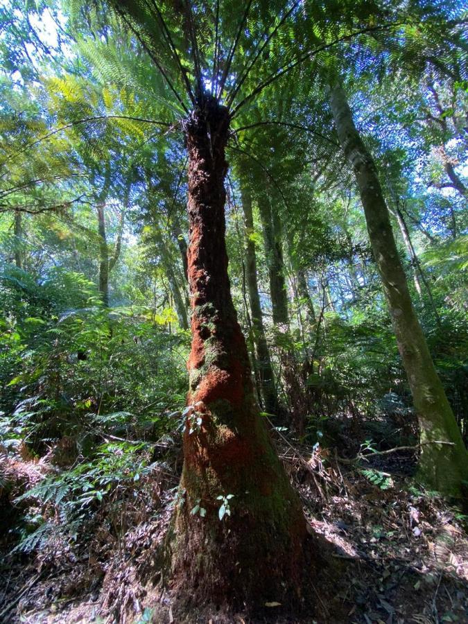 Recanto Da Mata Pousada เซาฟรานซิสโก จิ เปาลา ภายนอก รูปภาพ