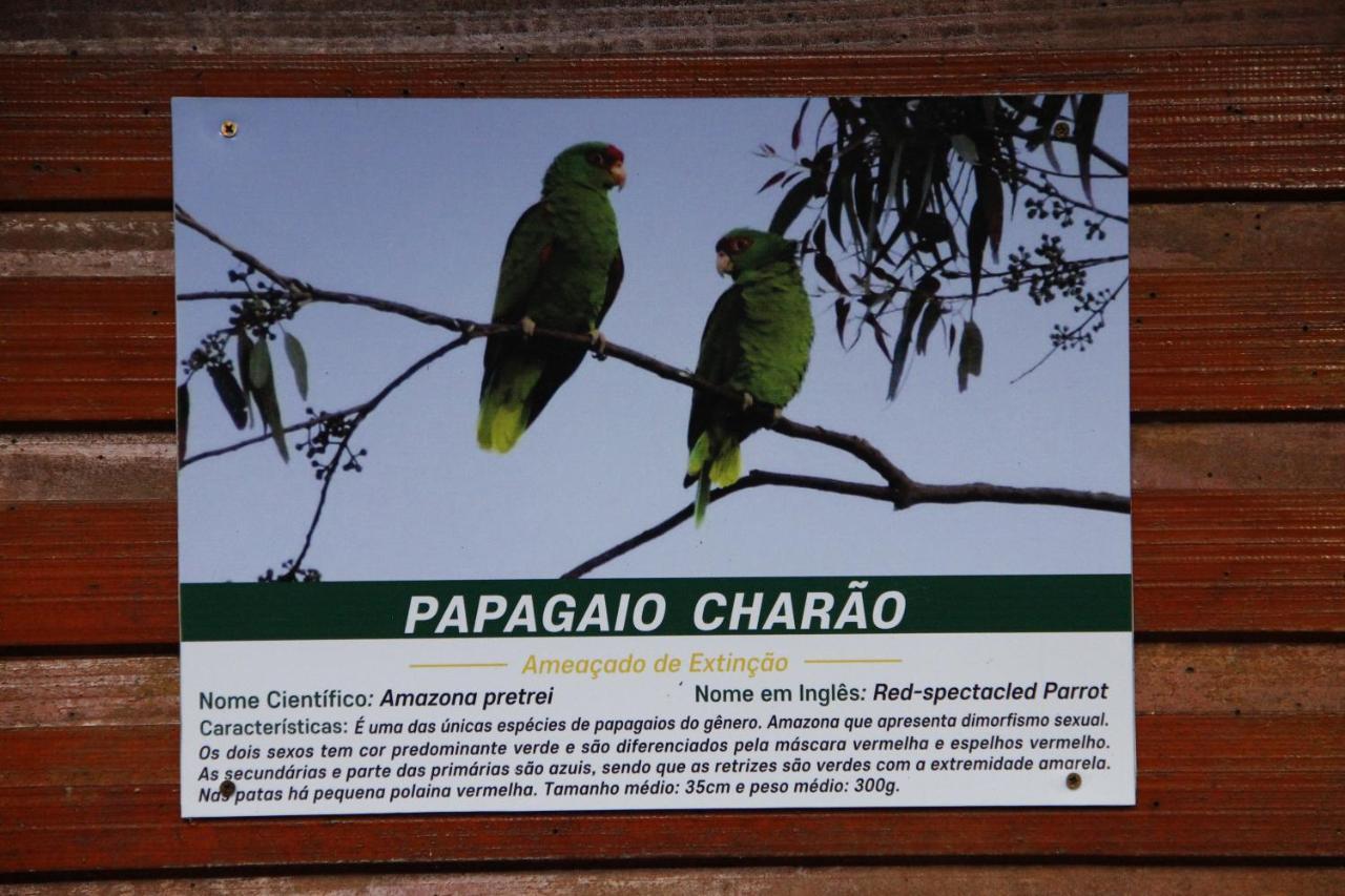 Recanto Da Mata Pousada เซาฟรานซิสโก จิ เปาลา ภายนอก รูปภาพ