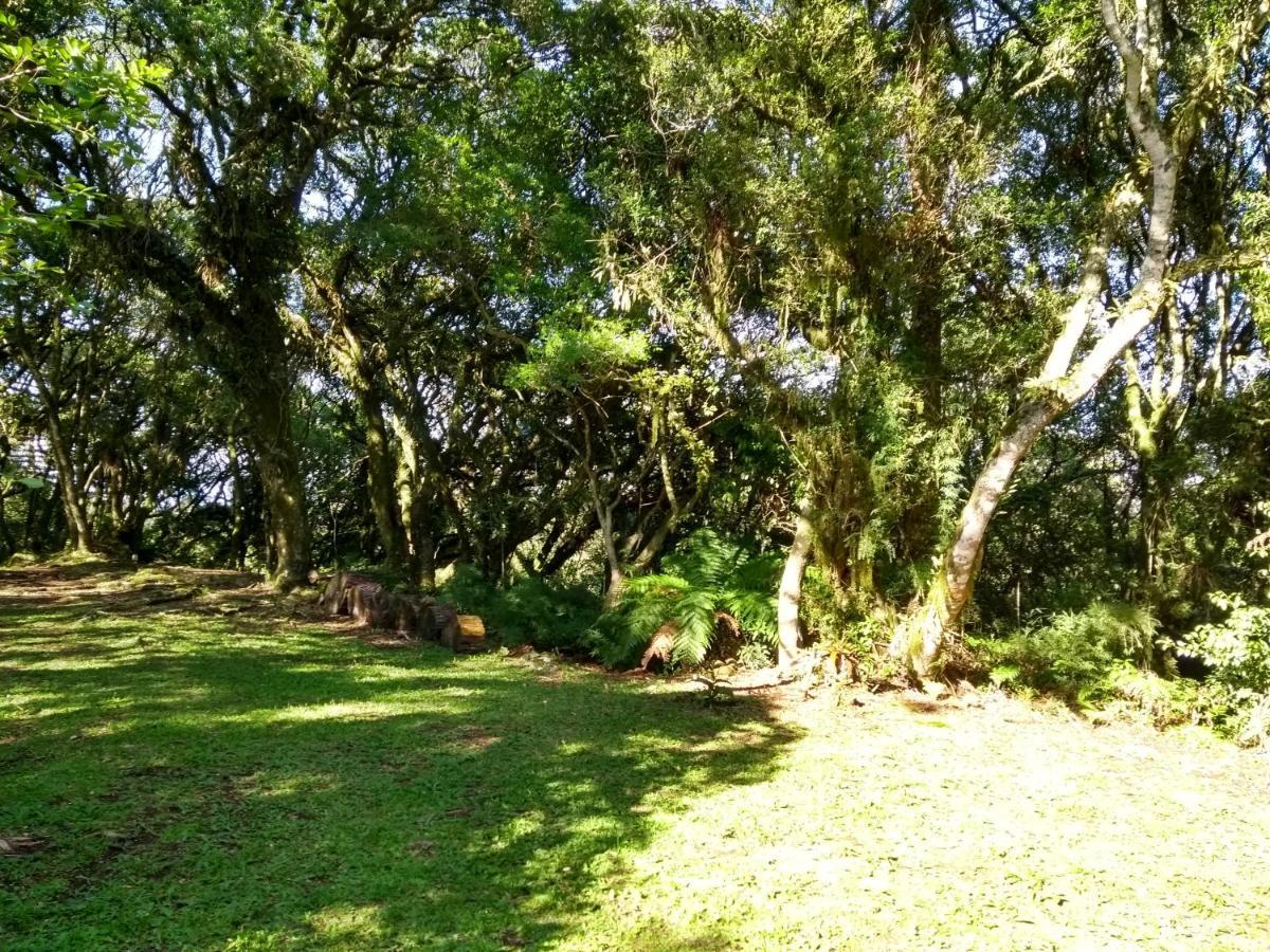 Recanto Da Mata Pousada เซาฟรานซิสโก จิ เปาลา ภายนอก รูปภาพ