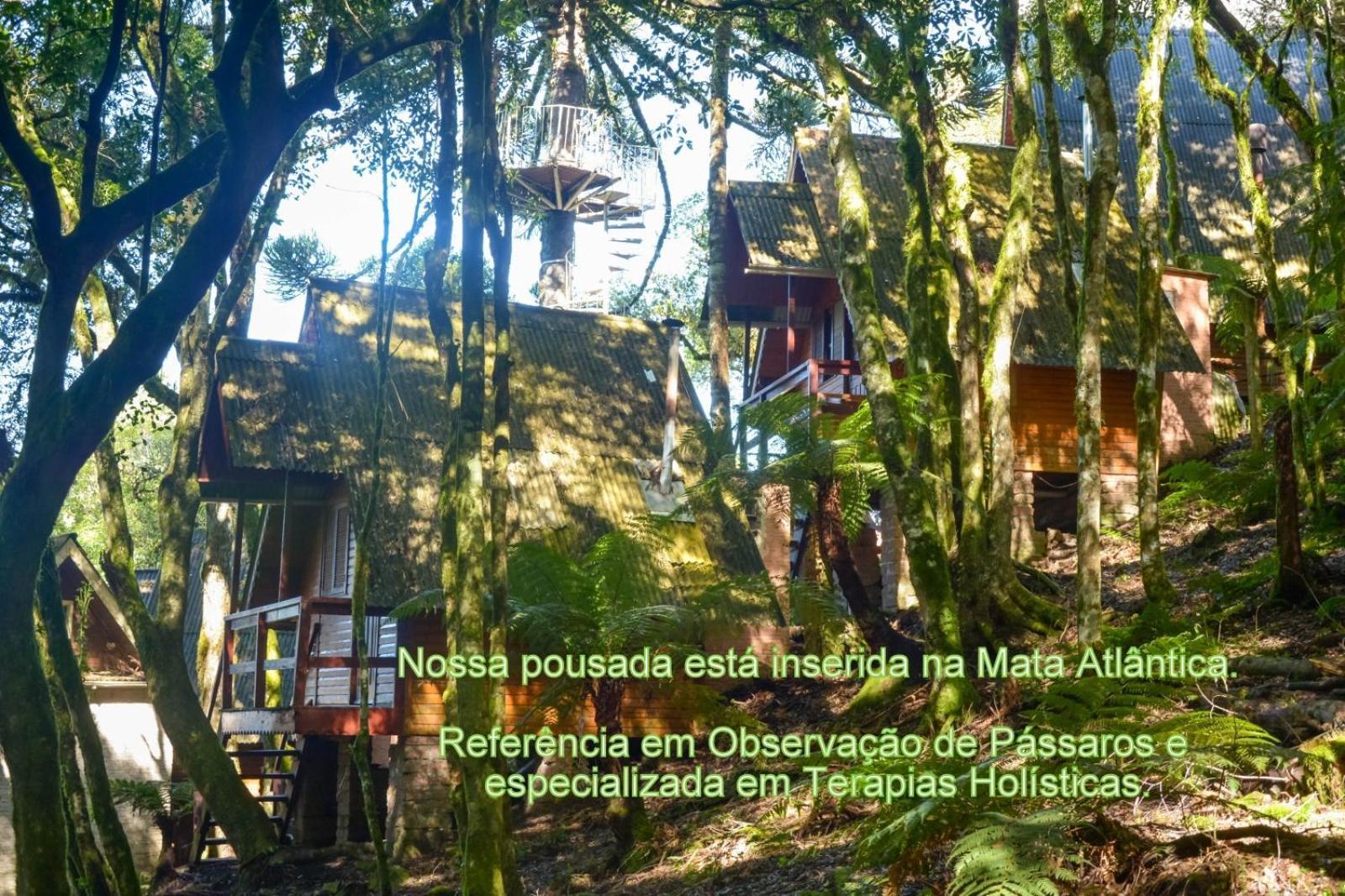 Recanto Da Mata Pousada เซาฟรานซิสโก จิ เปาลา ภายนอก รูปภาพ